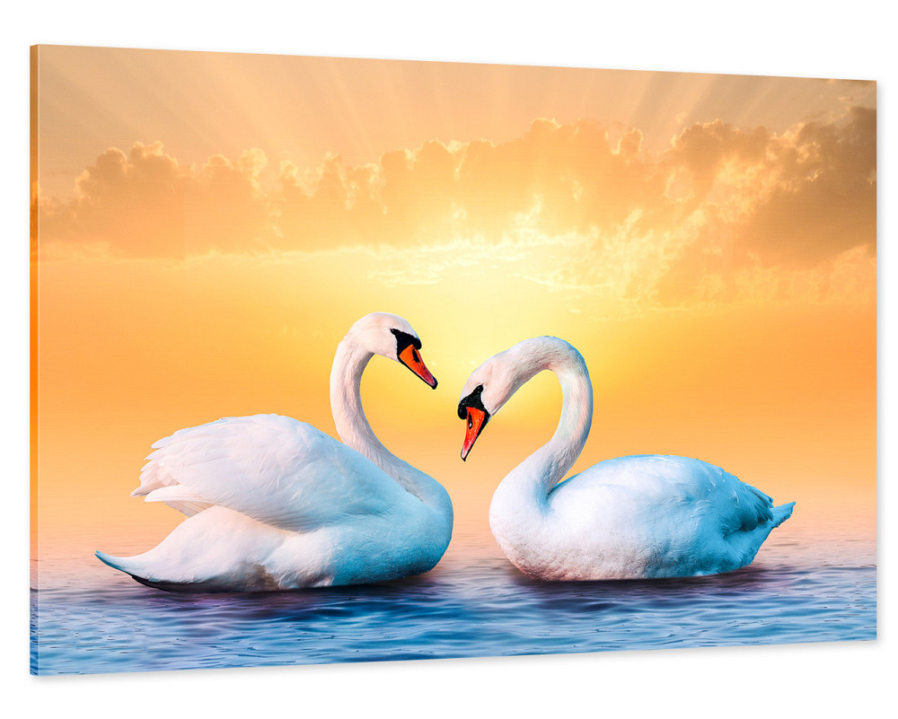 Картина холст / спальню  Пара Лебедів       MLP_9 40x80 см Киев - изображение 1