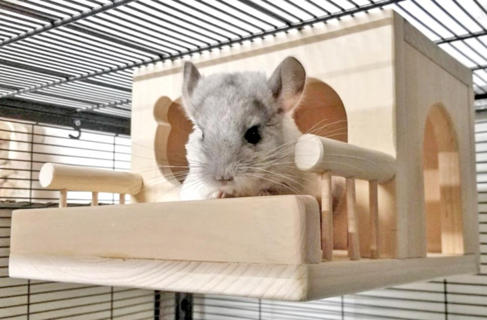 Будиночок для шиншили "Каріда" бланже Миколаїв - фото 2