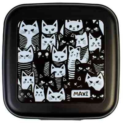 Ланч-бокс детский Maxi 850 мл (MX98139) Винница