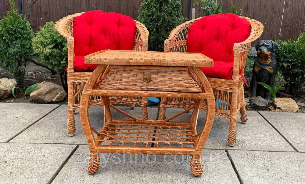 Мебель плетеная с яркими  накидками Киев - изображение 1