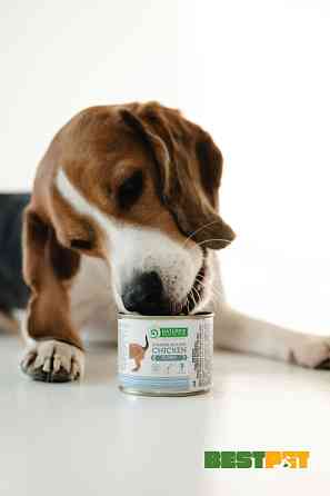 Nature's Protection Puppy Starter Mousse Chicken Мус-стартер для цуценят з курки, 200 г Киев
