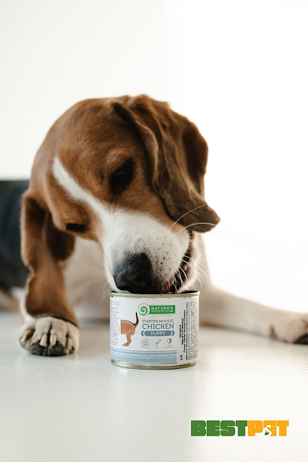 Nature's Protection Puppy Starter Mousse Chicken Мус-стартер для цуценят з курки, 200 г Київ - фото 2