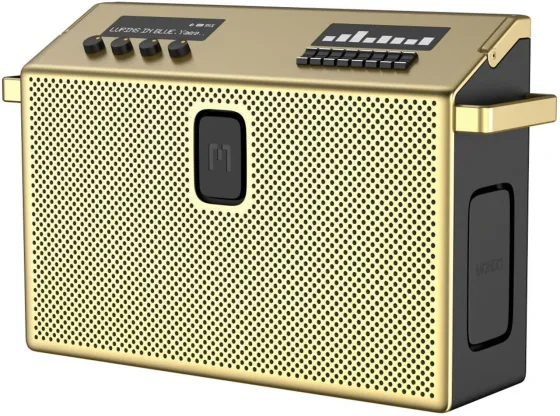 Портативная колонка Mondo by Defunc BT Speaker Large - Przenośny bezprzewodowy Динамік Bluetooth 5.3 Brass Киев