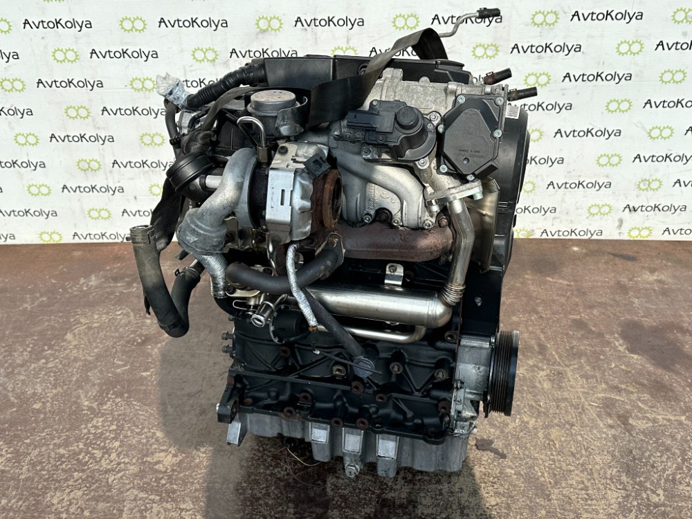 Двигун в зборі VW Passat B6 1.9 tdi 2005-2008 (BLS) Ковель - фото 5