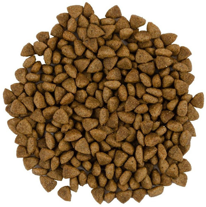 Сухой корм для взрослых кошек Сейвори Savory Adult Cat Sensitive Digestion Fresh Lamb & Turkey, 400 г Винница - изображение 3