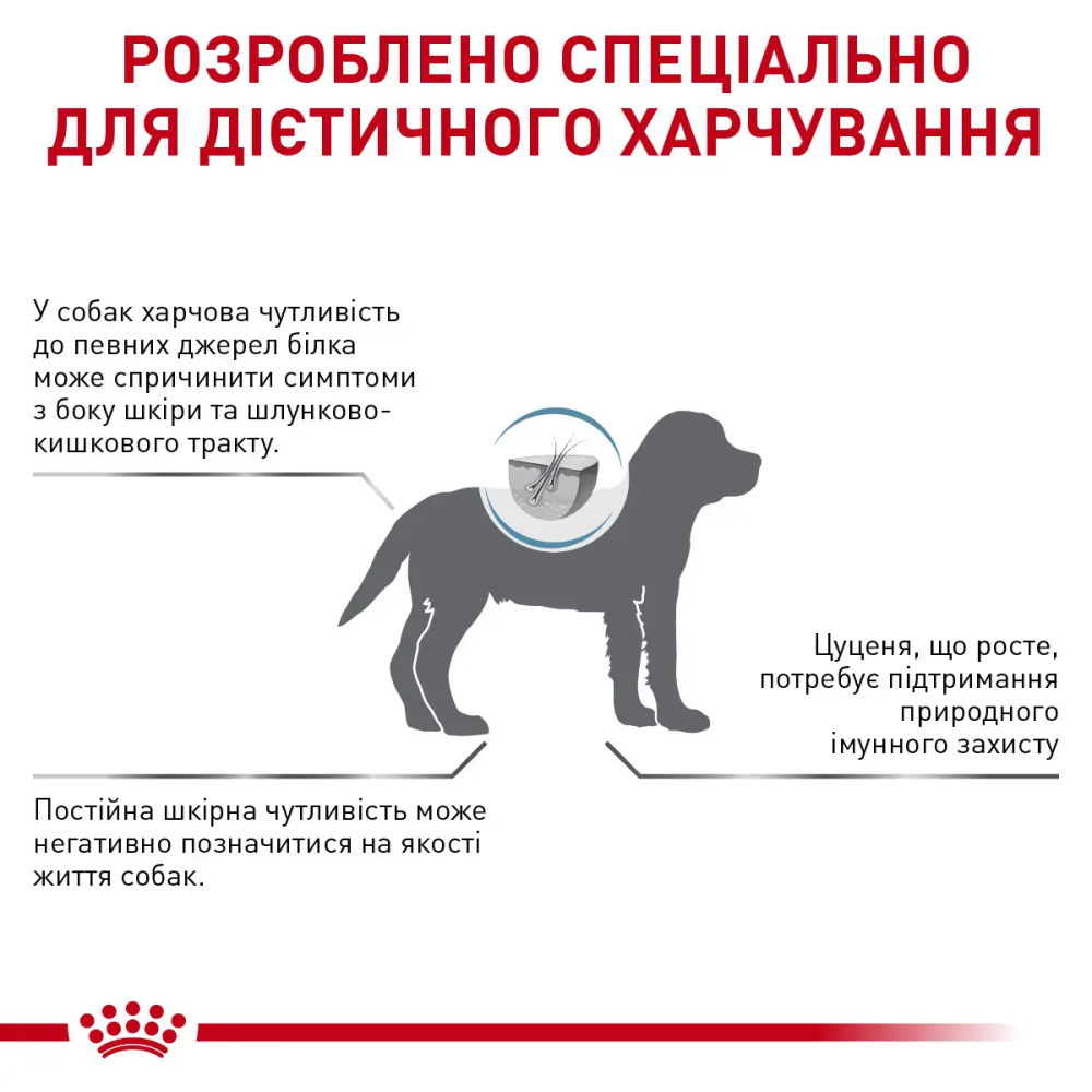 Royal Canin Hypoallergenic Puppy (Роял Канін Гіпоалергенник Паппі) сухий корм для цуценят з алергією Запоріжжя - фото 3