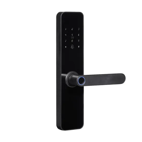 Замок біометричний автономний Trinix TRL-7702WF Black L/R з Wi-Fi, зчитувачем відбитків пальців і карт Mifare (65-00081) Київ