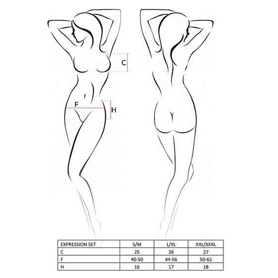 Комплект белья Passion EXPRESSION SET XXL/XXXL, black, лиф сетчатый, юбочка и стринги Sex Aura Киев