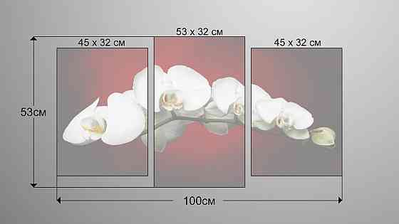 Модульна картина Квіти Орхідея Art-135_3 Київ
