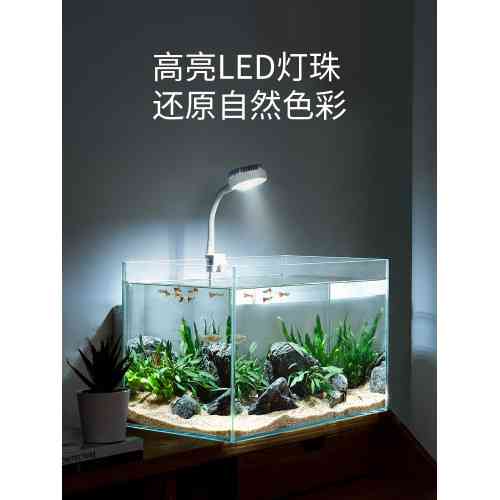 Светильник для аквариума Yee Nepall светодиодный с USB кабелем, белый, 5 Вт. Винница