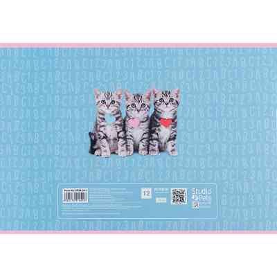 Альбом для рисования Kite Studio Pets, 12 листов (SP24-241) Винница