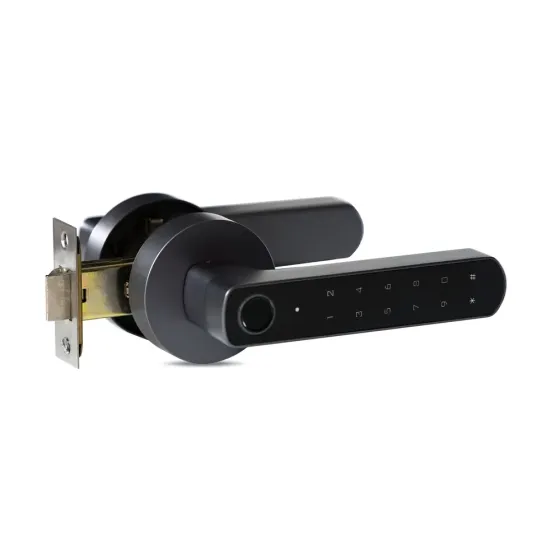 Замок біометричний автономний Trinix TRL-5205BTF Tuya Grey з Bluetooth і зчитувачем відбитків пальців (65-00069) Киев