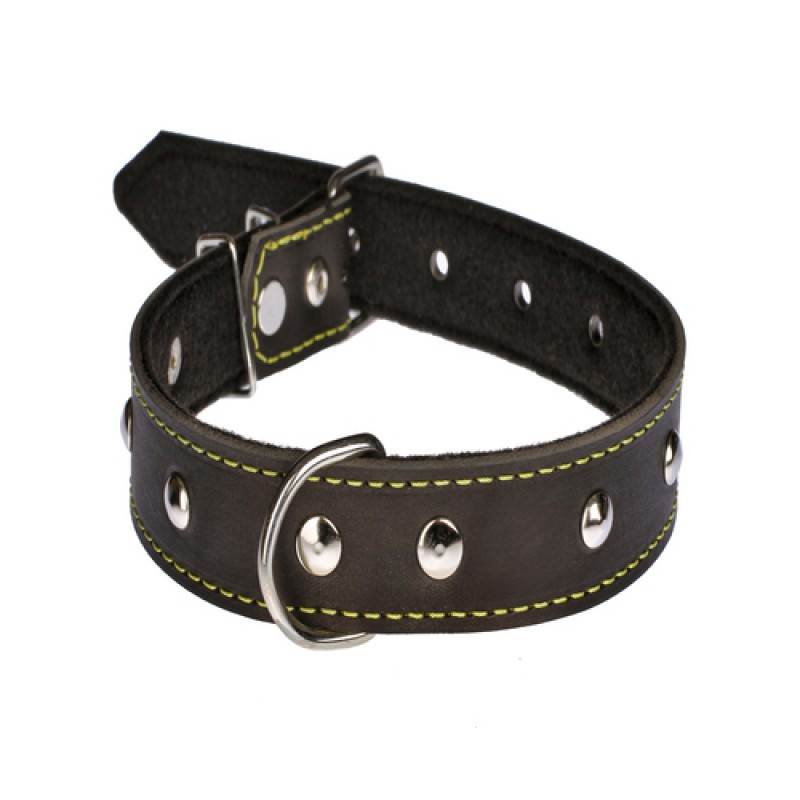 Нашийник 415 30 мм "Класик" шкіра+синтепон прикрашений Вінниця - фото 1