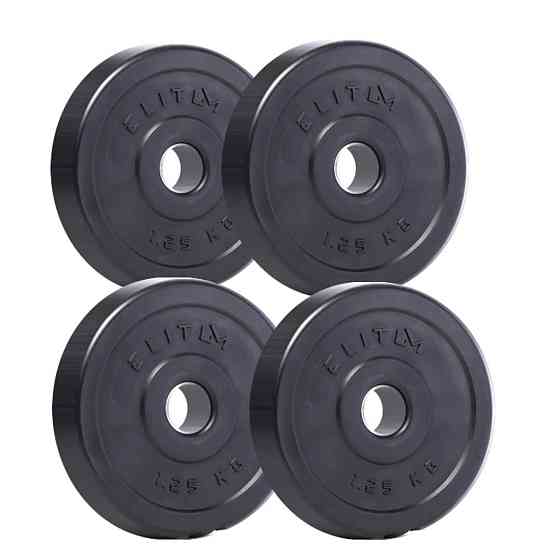 Набор композитные диски (блины) ELITUM для гантелей и штанги 4 штуки по 1,25 кг с диаметром отверстия 30мм Киев