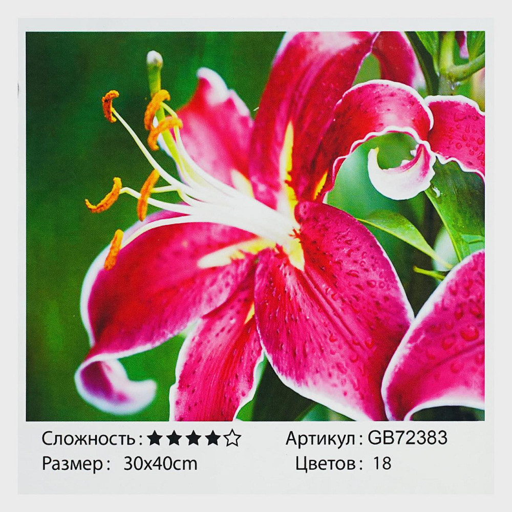Алмазна мозаїка TK Group розмір 30х40см Лілія (GB 72383) Чернигов - изображение 1