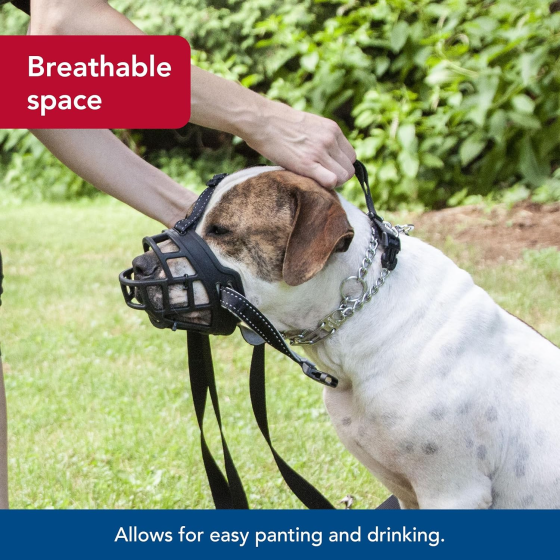 Намордник для собак розмір 4 (товар вживаний) Луцк