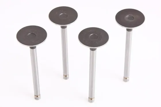 Клапани 2101 «Prima» впускні (4 шт.) Вінниця