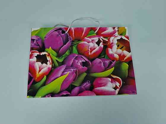 Паперовий великий горизонтальний пакет 36/22/10 (артBG-054) (12 шт.) Харків