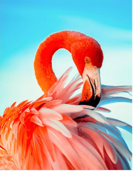 Алмазна картина Яскравий рожевий фламінго Strateg розміром 40х50 см кр (JSFH8587) без підрамника, шт Київ - фото 1