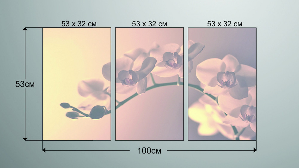 Модульная картина Орхидея  (53x100см)  Art-1_3А Киев - изображение 3