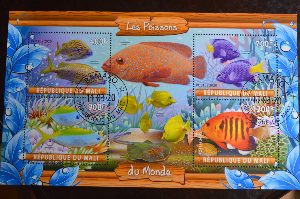 Мали. Марки. Фауна. Блок. 2020 год (В-2) Полтава - изображение 1