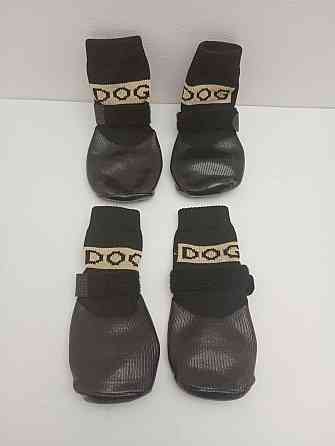 Водонепроникні шкарпетки для собак розмір S Луцьк