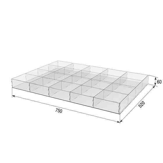 Коробка акриловая EKOSTAR 750х520х60 20 ячеек Киев