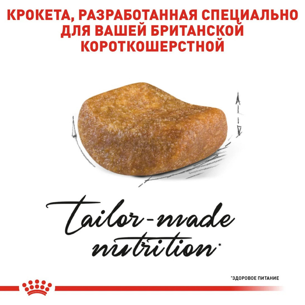 Royal Canin British Shorthair Adult (Рояв Канін Брітіш Шортхайр) корм для кішок британська короткошерсна 10 кг. Запоріжжя - фото 4