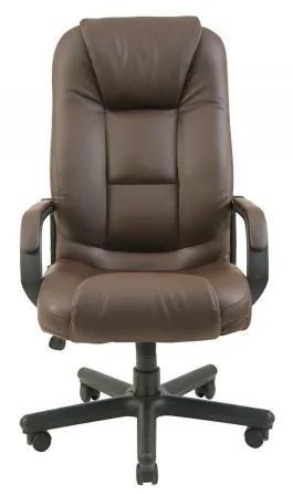 Офісне Крісло Керівника Richman Seville Fly 2231 Пластік Річ М2 AnyFix Коричневий Київ