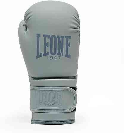 Боксерські рукавиці Leone GN059 STRIKER Grey 10 унцій Кам'янське