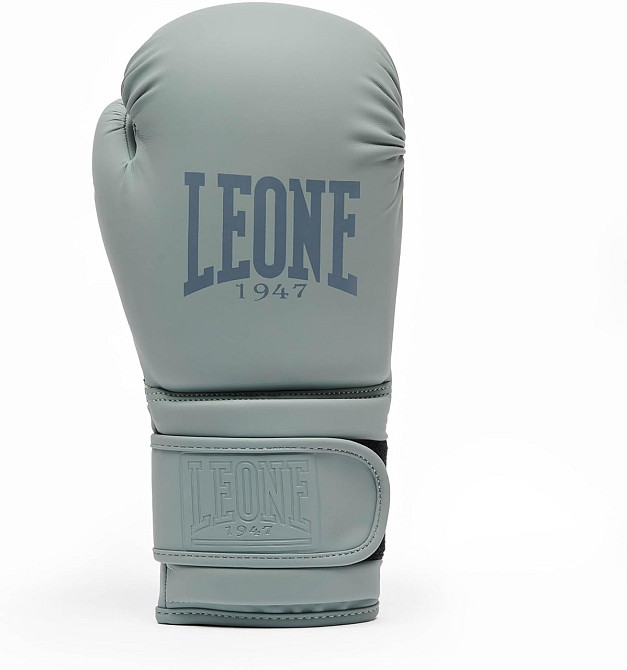 Боксерські рукавиці Leone GN059 STRIKER Grey 10 унцій Каменское - изображение 2
