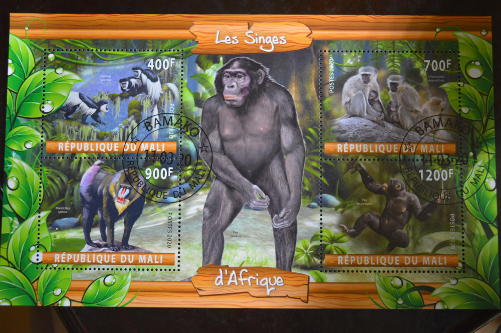 Мали. Марки. Фауна. Блок. 2020 год (В-2) Полтава - изображение 1