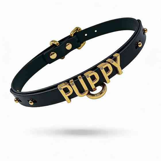Чокер з написом PUPPY від UPKO з італійської шкіри, чорний із золотою фурнітурою Sex Aura Київ