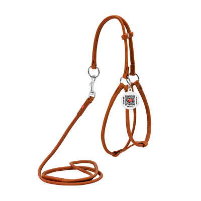 Шлея для собак WAUDOG Soft з QR паспортом кругла Д 6 мм А 26-46 см В 30-50 см коричнева (46236) Вінниця - фото 1