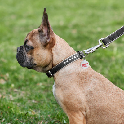 Нашийник для тварин WAUDOG Soft з QR паспортом, металеві прикраси M Ш 25 мм Д 38-49 см (7206) Вінниця - фото 5