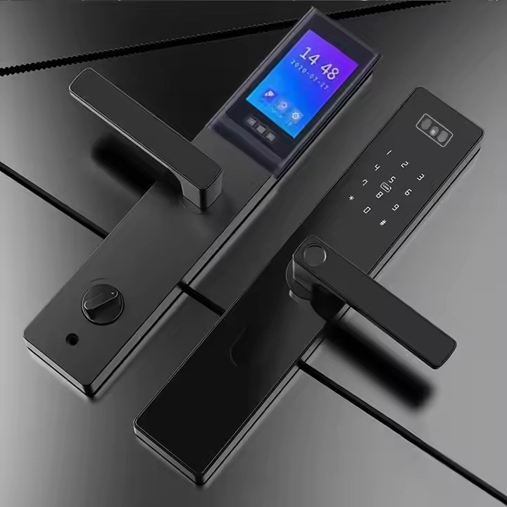 Смарт замок кодовий розумний дверний з дисплеєм KHS-D10F з розблокуванням по обличчю, відбитком пальця, ключ-картою Кам'янець-Подільський - фото 4