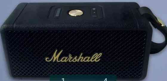Колонка портативная Marshall Middleton . Киев