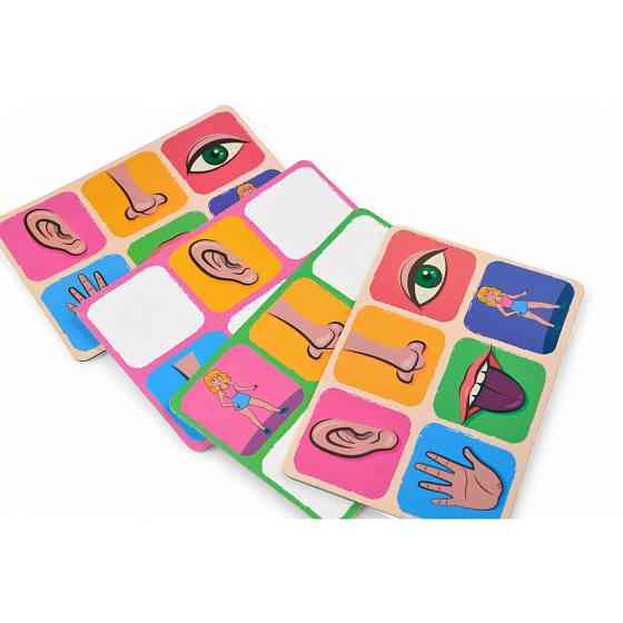 Дитяче лото "Органи чуття" 2279-UM 4 поля, 48 фішок Вінниця