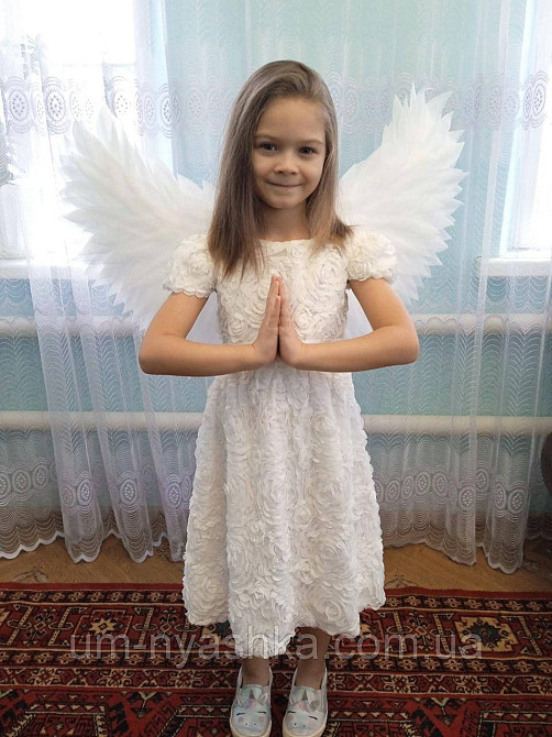 Крылья Ангела большие поднятые Кривой Рог - изображение 5