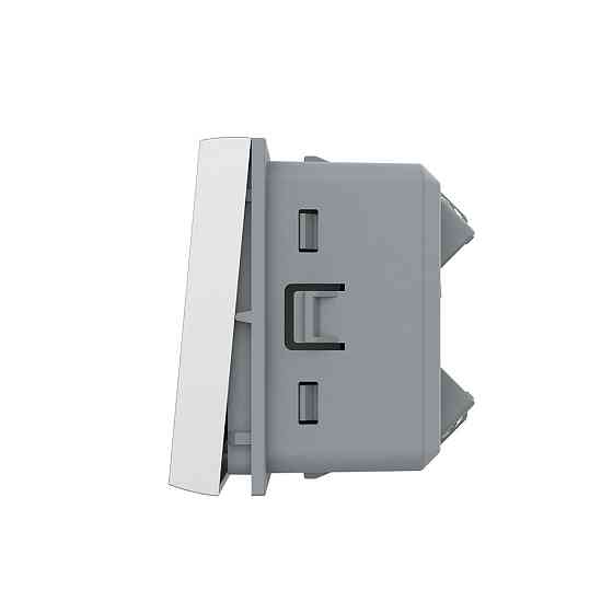 LIVOLO Кнопковий вимикач без фіксації (дзвінковий / імпульсний) LIVOLO, сірий, модуль без рамки Коломия