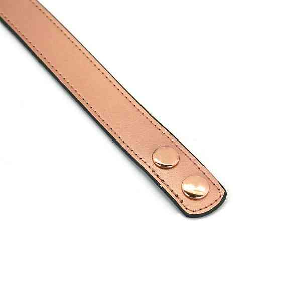 Нашийник із затискачами для сосків Liebe Seele Rose Gold Memory Collar with Nipple Clamps, шкіра Sex Aura Київ