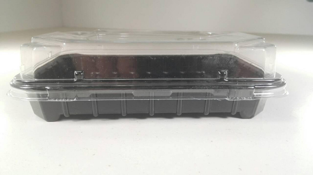 Упаковка для суші з кришкою ПС-63ДЧ 16,8*11,5 см 50 шт/уп Харків - фото 3