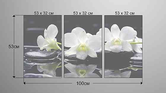 Модульна картина Квіти Орхідея Art-35_3А Київ