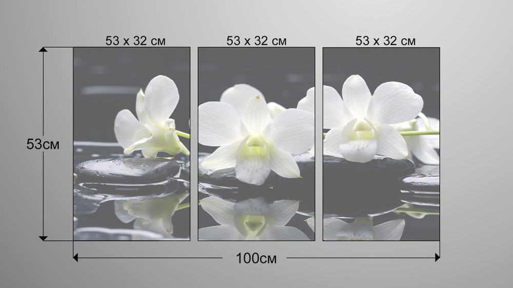 Модульна картина Квіти Орхідея Art-35_3А Київ - фото 3