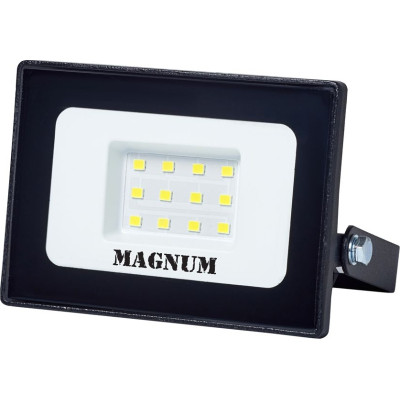 Прожектор MAGNUM FL12 ECO LED 10Вт slim 6500К IP65 (90018080) Винница - изображение 1