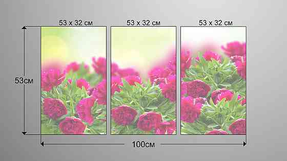 Модульная картина Пионы Аrt-236_3А Киев
