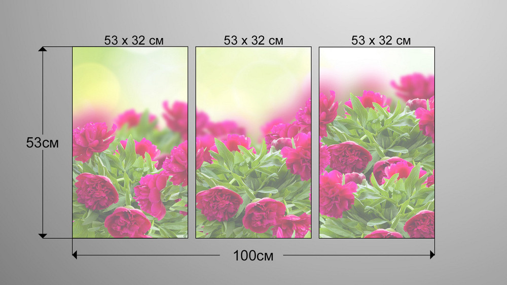 Модульная картина Пионы Аrt-236_3А Киев - изображение 3