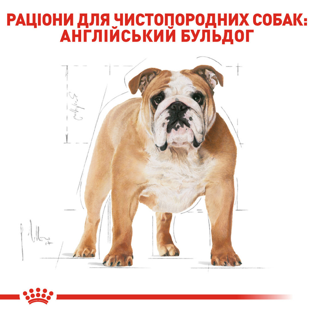 Корм для собак породи Англійський бульдог ROYAL CANIN BULLDOG ADULT 3 кг Київ - фото 3