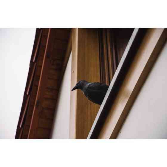 Отпугиватель птиц 