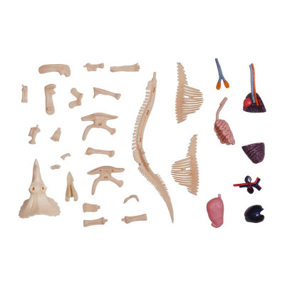 Пазл 4D Master Master Трицератопс (FM-622014) Винница - изображение 9